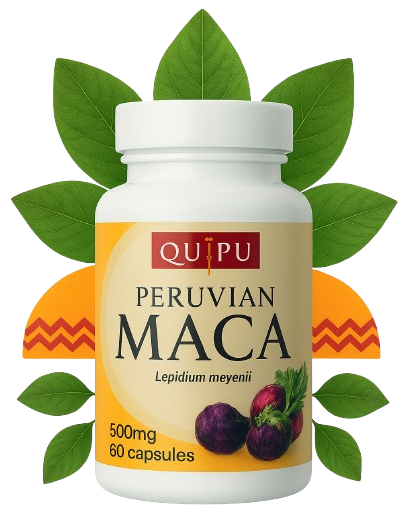 Quipu Peruvian Maca Root supplement bottle containing 60 capsules of 500mg pure maca